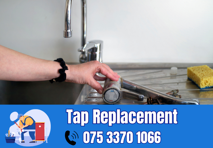 tap repair and replacement Sheerness